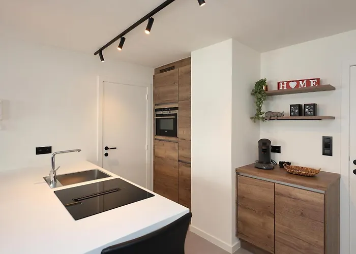 Awesome In With Wifi Apartment Ostend